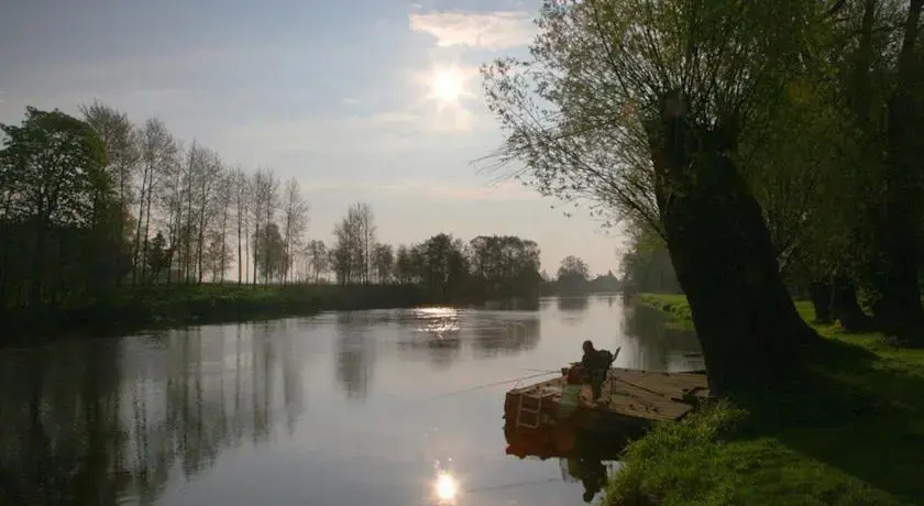 Pakalnė