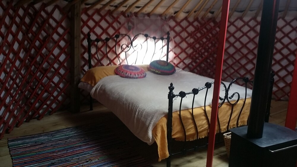 Wych Elm Glamping