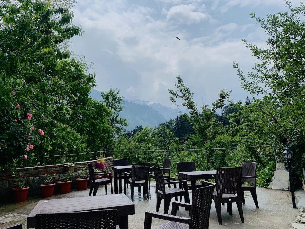 Jungle by sturmfrei Manali