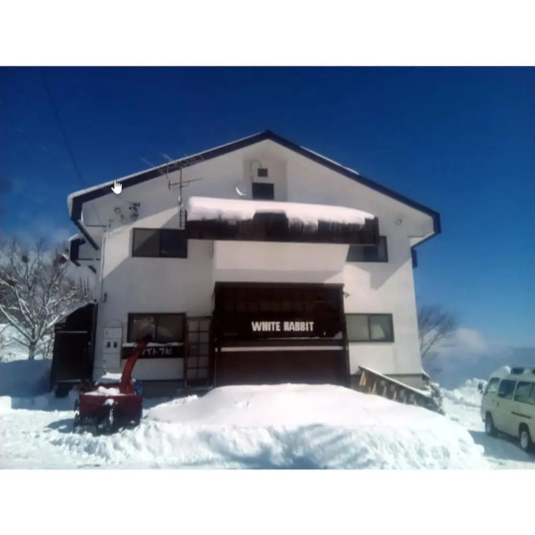 White Rabbit Madarao