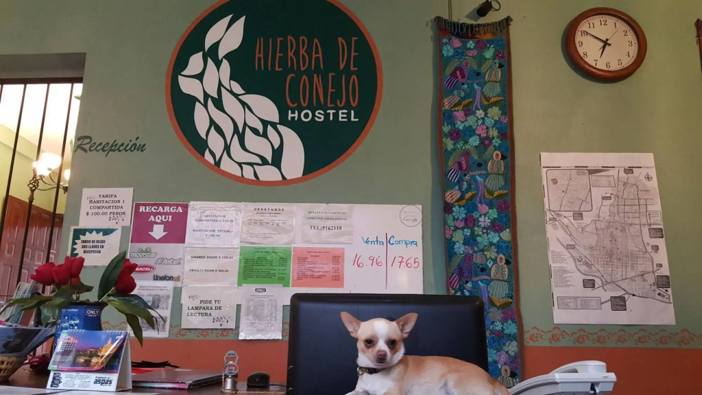 Hierba De Conejo Hostel
