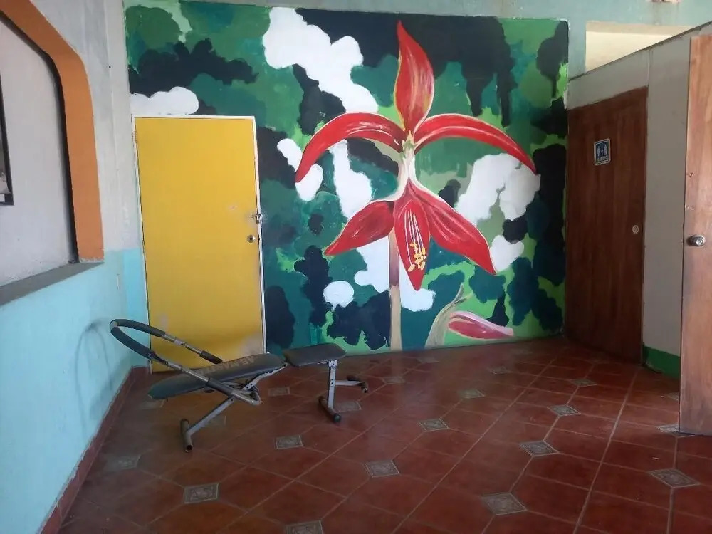 Hostal Luna Vallarta