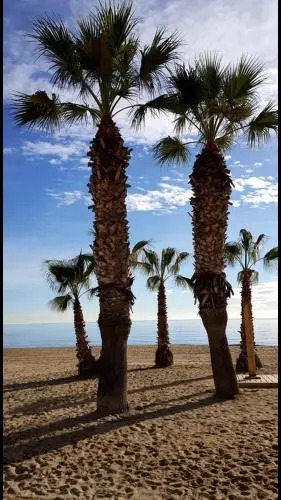 Apartamentos Benicassim