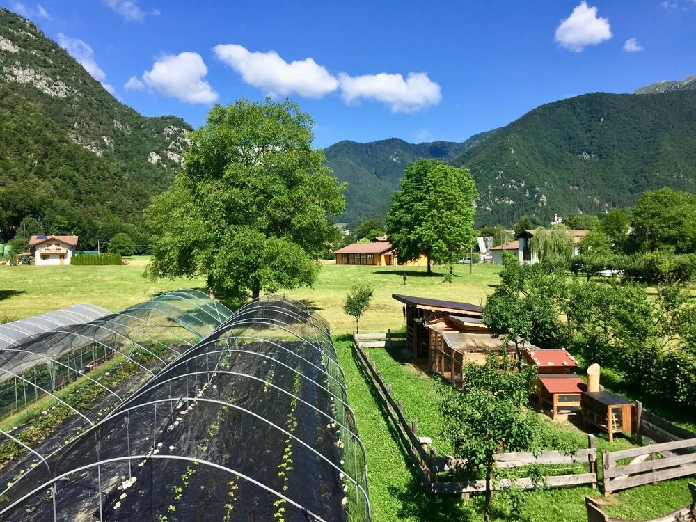 CROSINA HOLIDAY - B&B dalla Fattoria della Patty