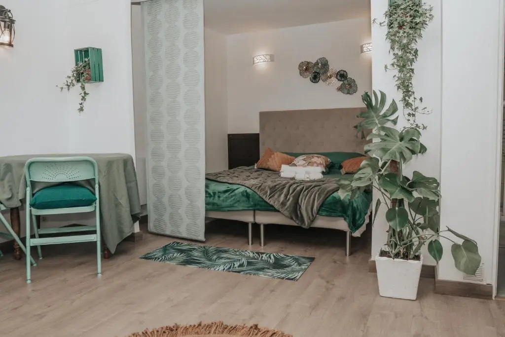 Grand studio, vue mer centre ville carte parking