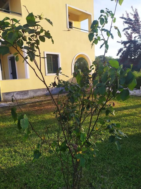 Nektar Apartments