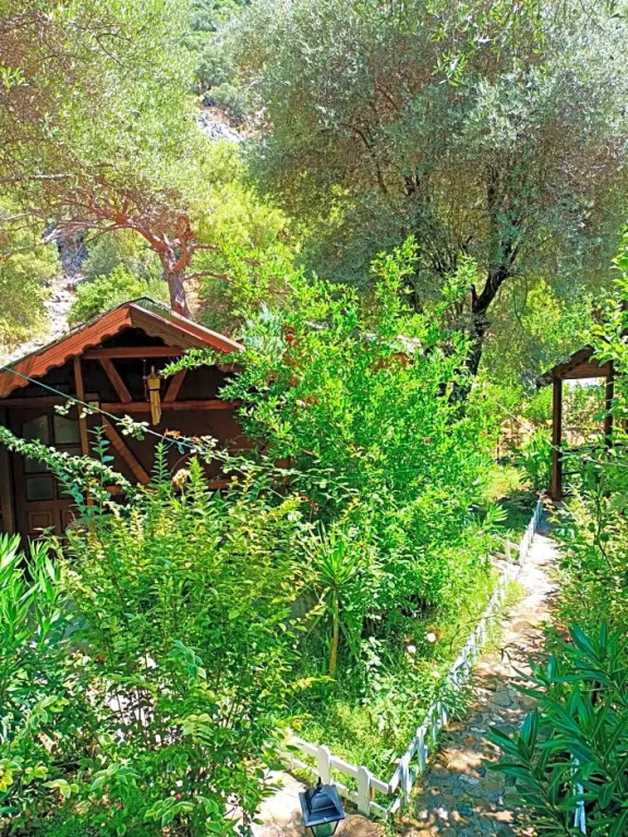 Canario Bungalows