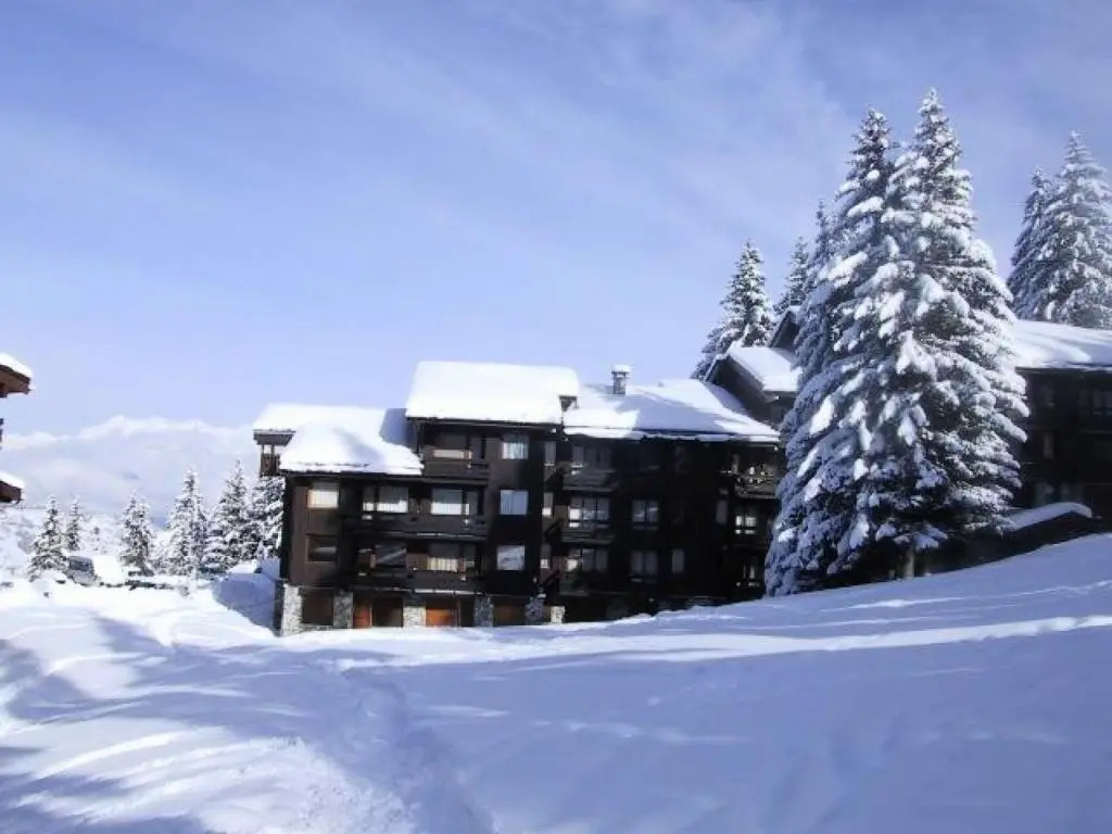 CHEVAL NOIR G - Appartement CHEVAL NOIR 16 pour 3 Personnes 86