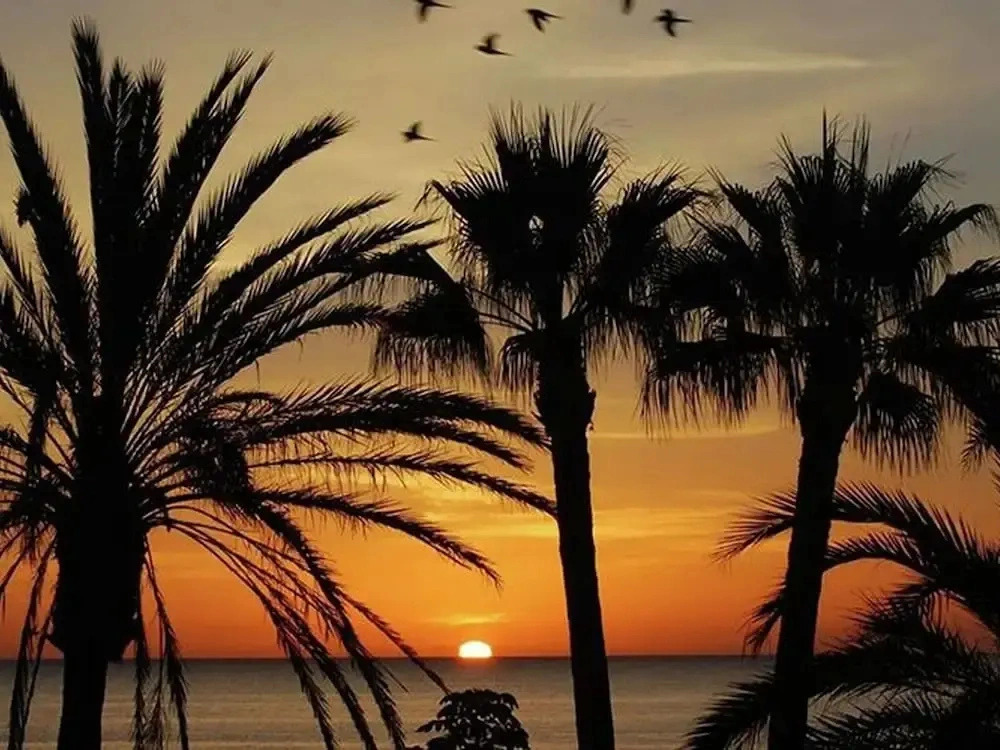 Holiday Home in Malaga Near Sea Beach
