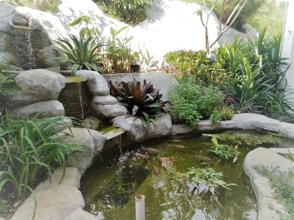 Kembang Guest House