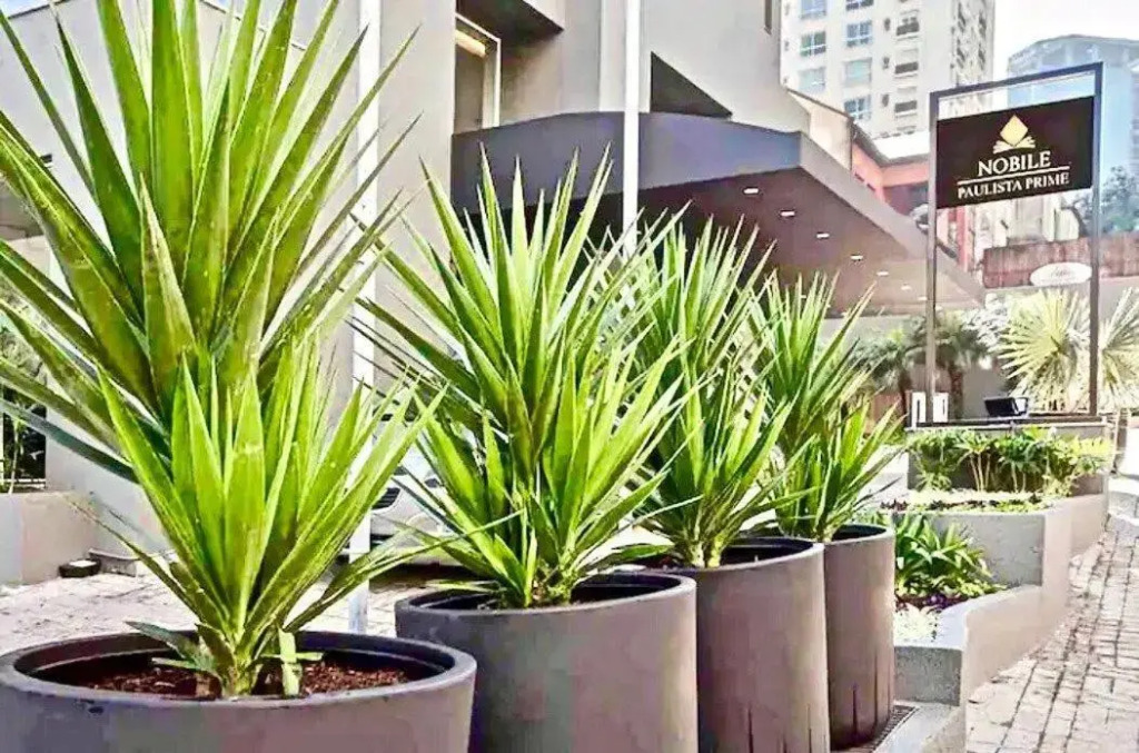 Flat Completo Wyndham Al Campinas,540 Av Paulista Jardins