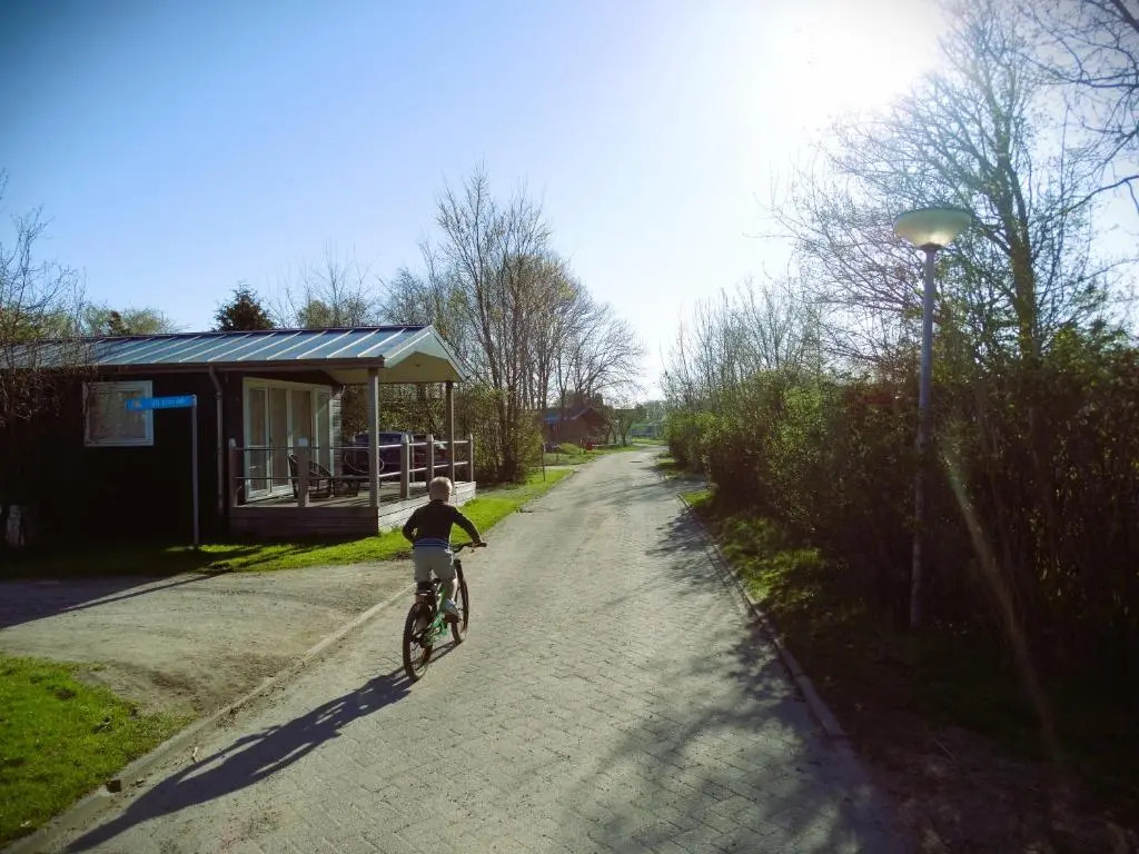 Cabin 33 Grou