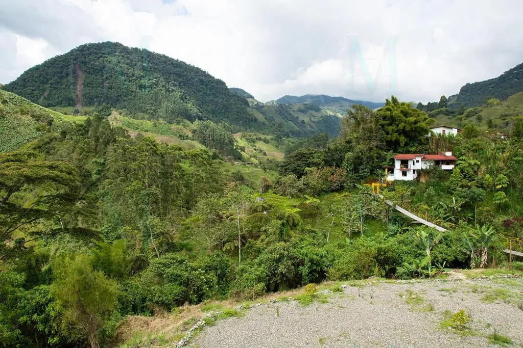 La Casa de Ana 2
