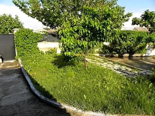 La Maison d'Ogooué B&B