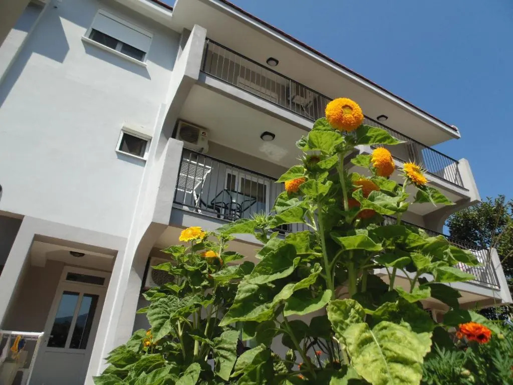 Apartments Macaso