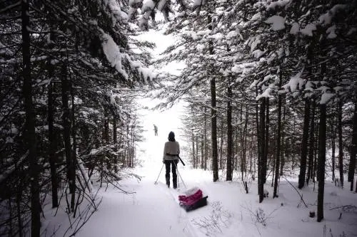 Aventure Rose Des Vents