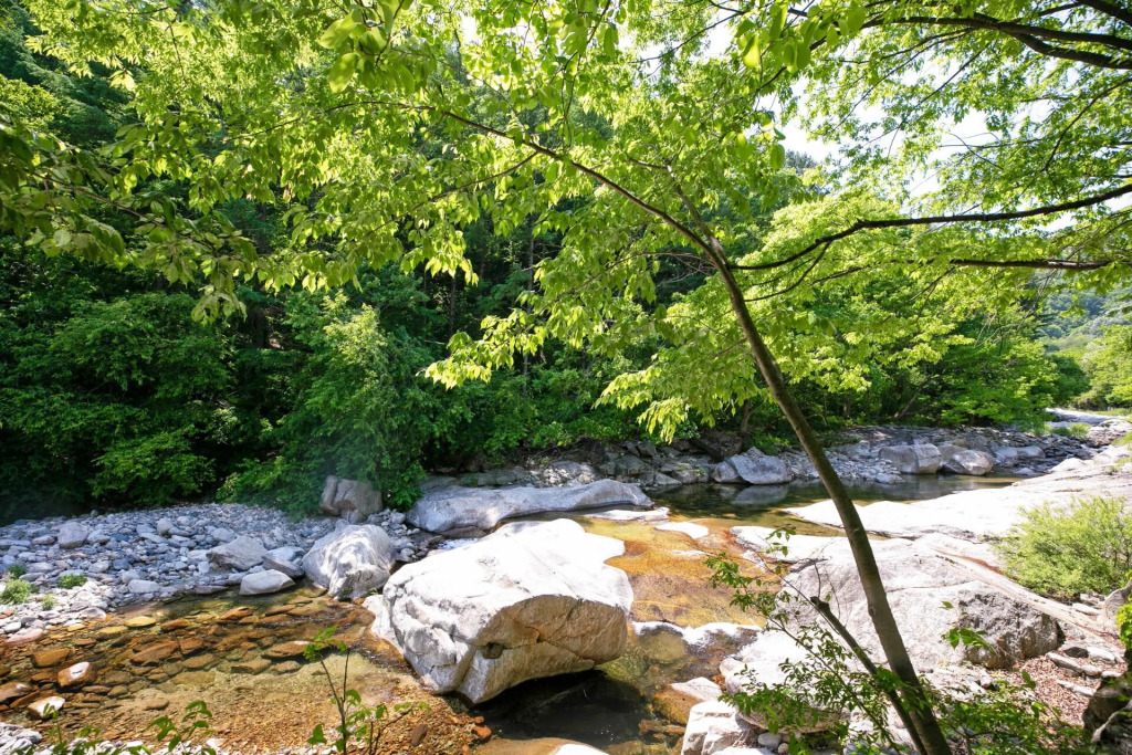 Gapyeong Cheotnooneh Pension