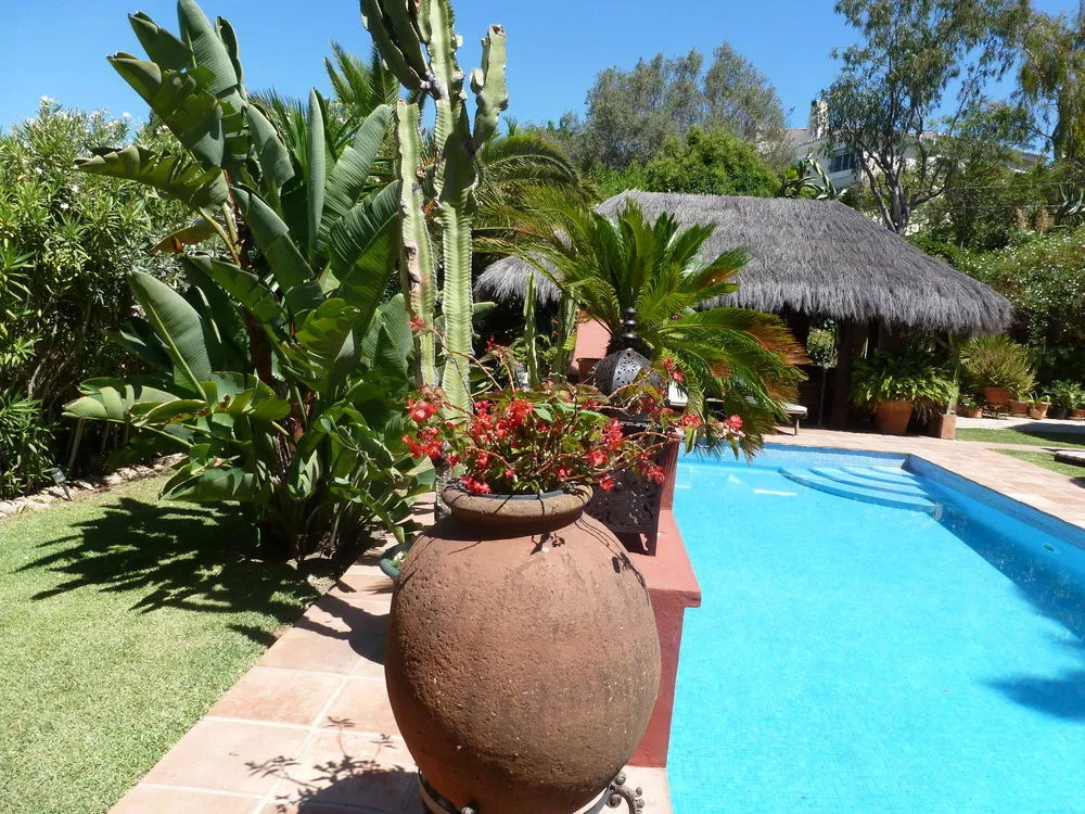 Casa Las Palmeras Suites Marbella - Adults Only