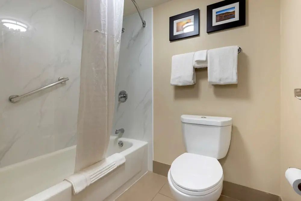 Comfort Inn Binghamton I-81