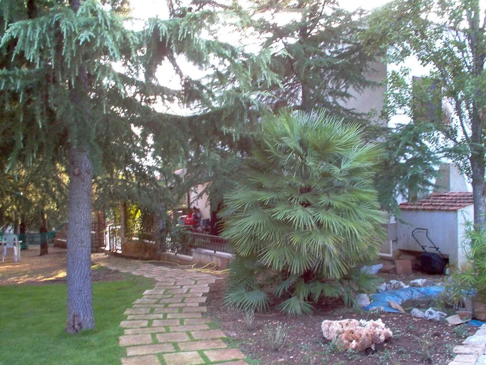 Torre due Pani