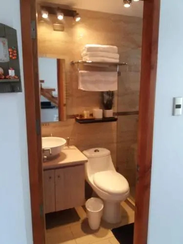 Loft Terrazas de Cachagua