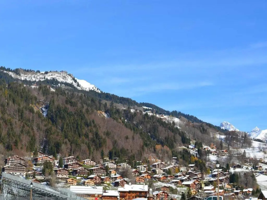 Appartement Le Grand-Bornand, 1 pièce, 4 personnes - FR-1-241-157