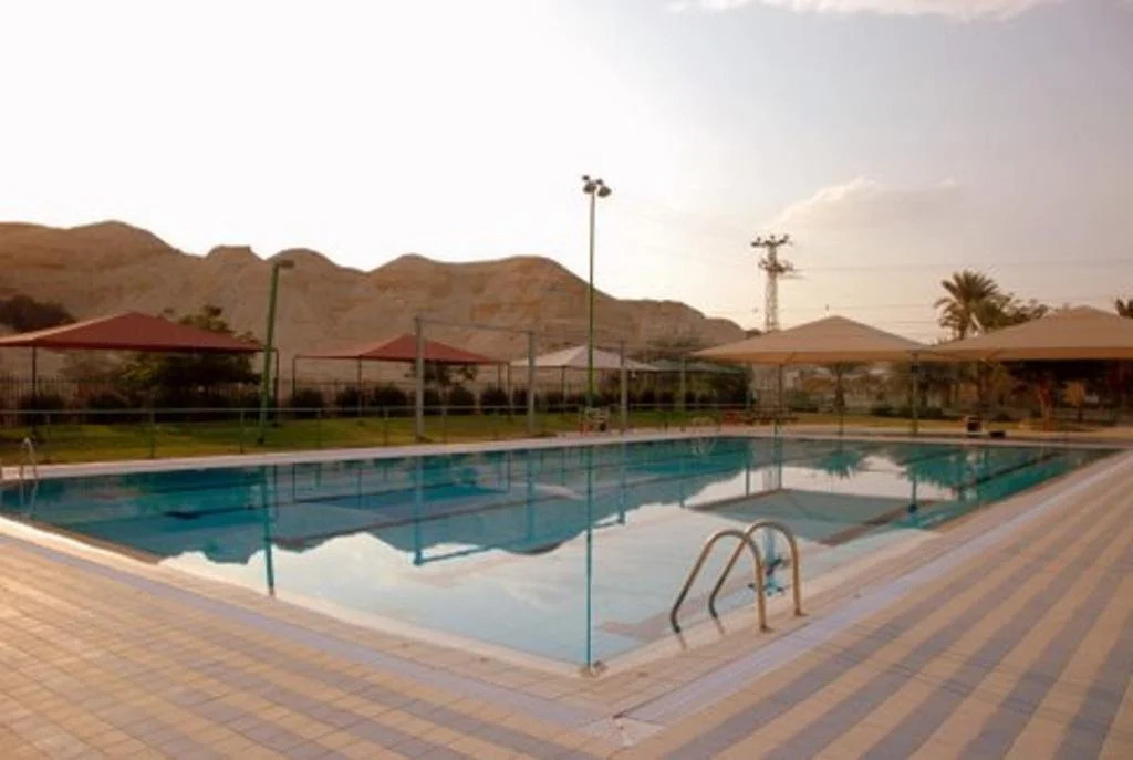 Korins At the Dead Sea