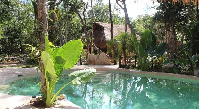 Casa Selva Orquideas