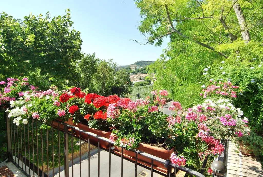 Villa Fiorita