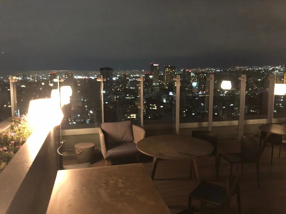 Nuevo-Lujoso Depa Polanco C-Terraza 2206