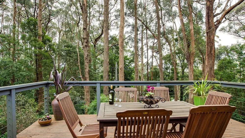 Wild Patch Retreat