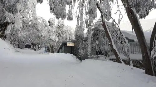 Diana Alpine Lodge