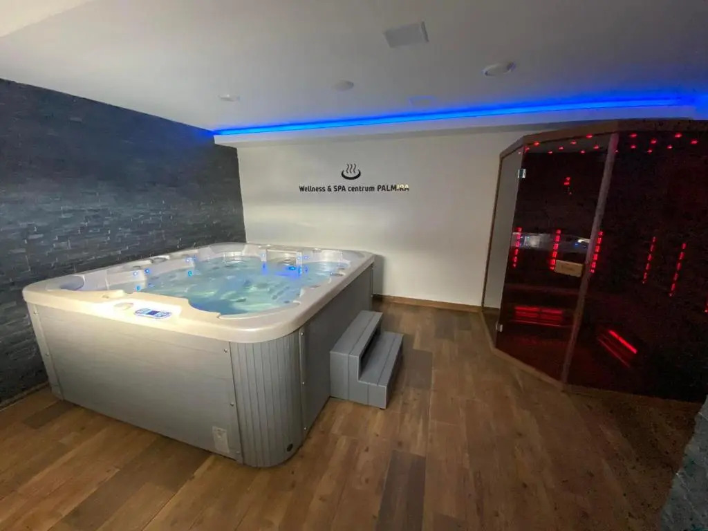 Hotel & SPA centrum PALMIRA