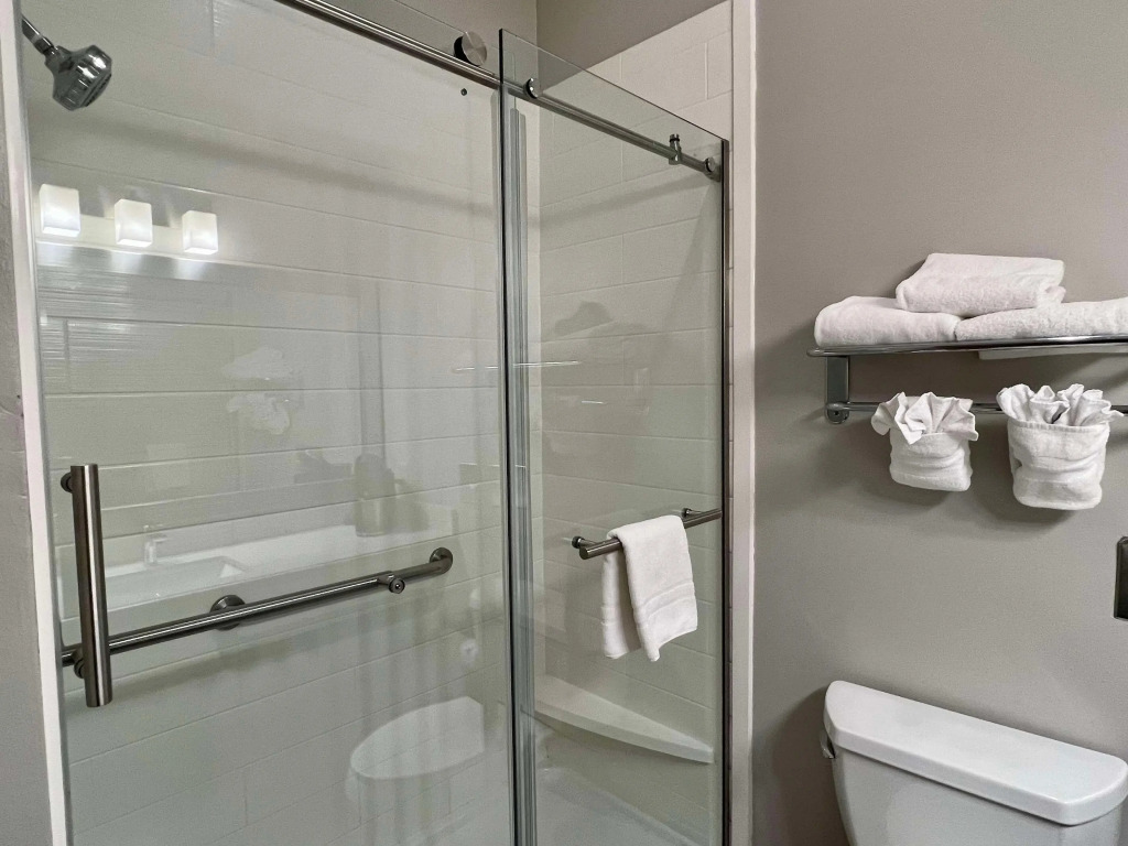 Best Western Plus Hobby Airport Inn & Suites