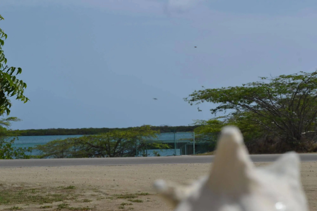Vistalmar Ocean Suites
