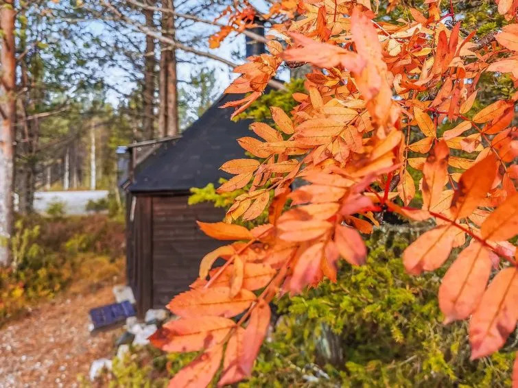Salakolo 1 Kuusamo in Kuusamo