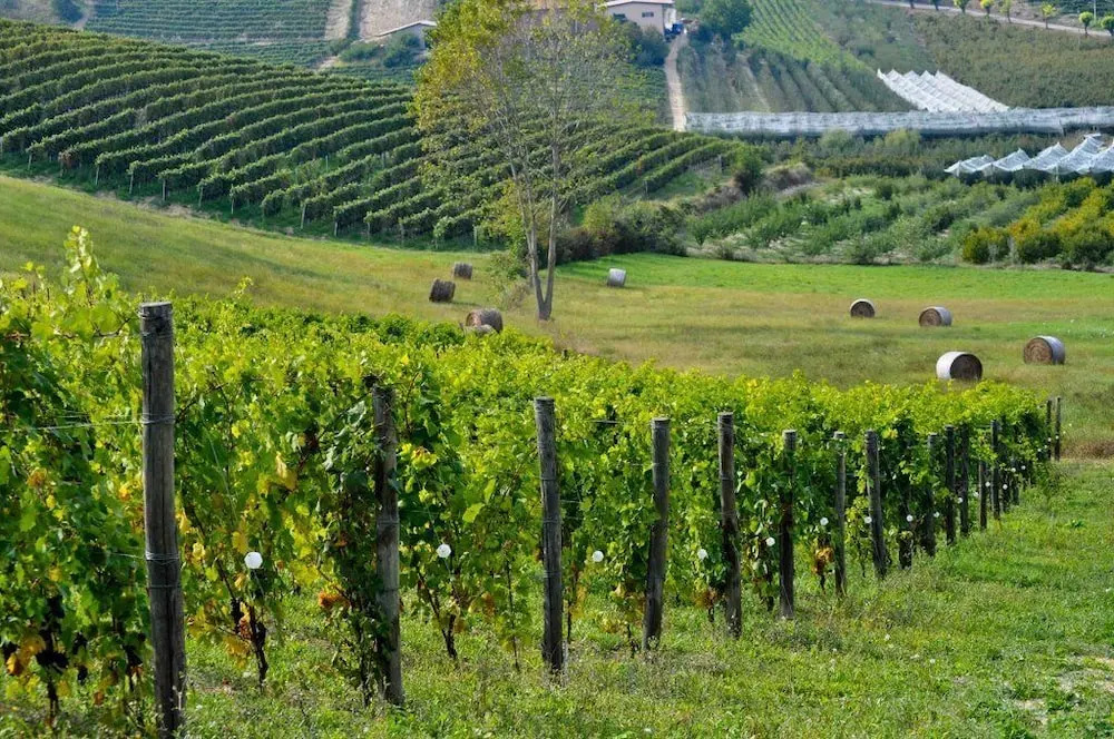 Agriturismo C'Era Una Volta Agliano Terme