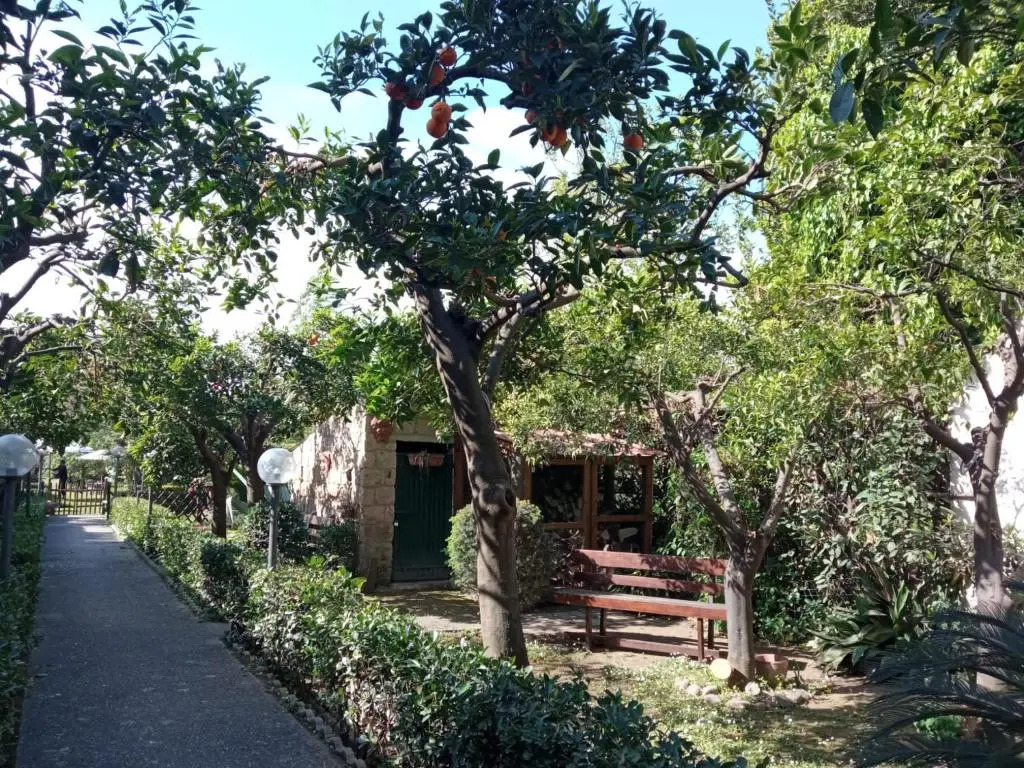 Residenza Caserta Sud - Appartamento con giardino