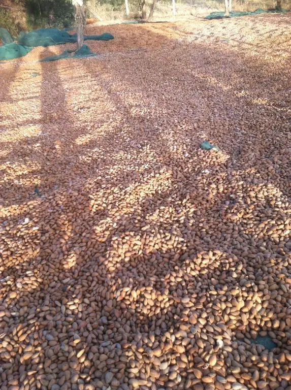 Quintas do Valbom e Cuco