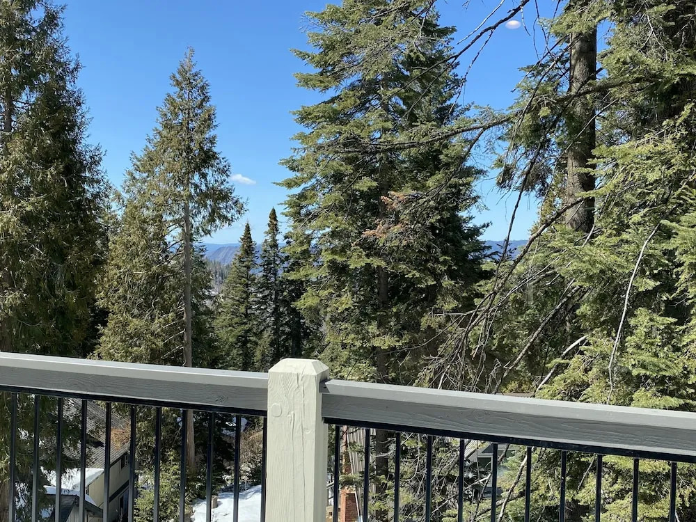 Yosemite's Pine Cove