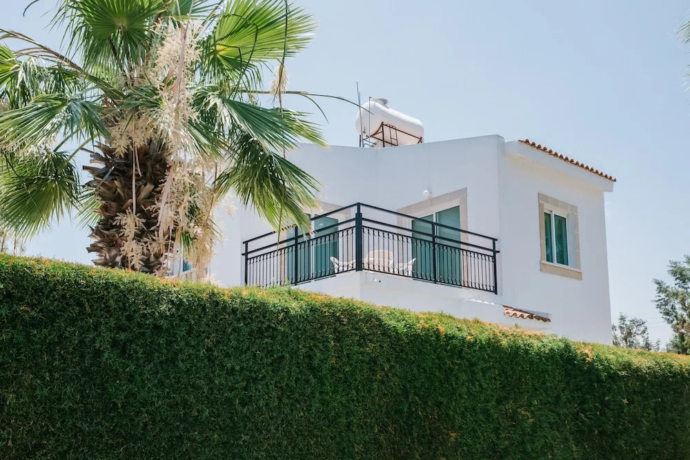 Chrysanthemum Villa