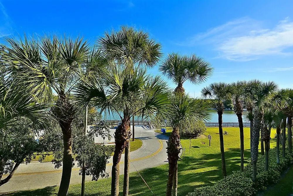 Land's End 302 Building 1 Fully Remodeled With Amazing View!