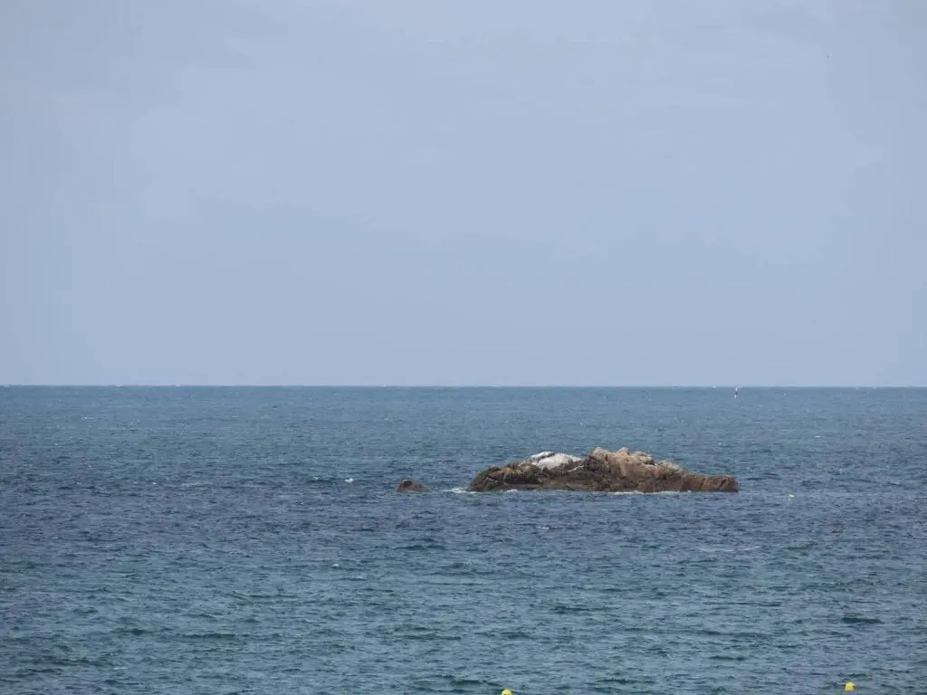 Appartement Perros-Guirec, 2 pièces, 4 personnes - FR-1-368-244