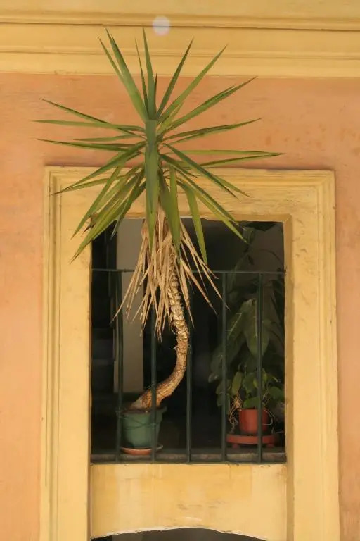 Casa Mia a Trastevere