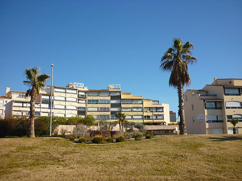 Les Goelands 13478
