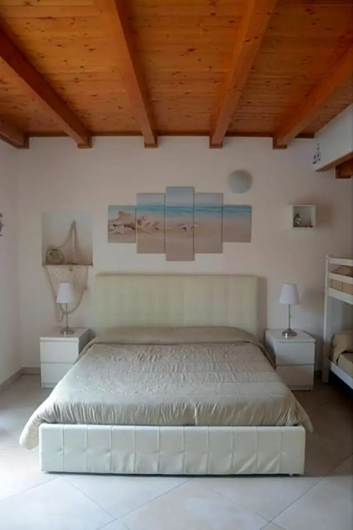 B&B Venus