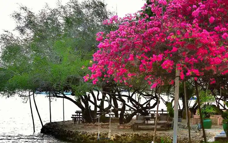 The C Samet Beach Resort SHA Plus