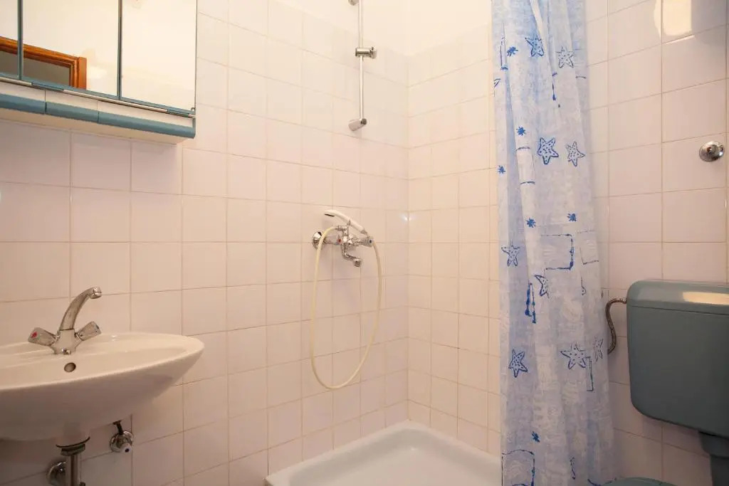 Apartment Smiljana