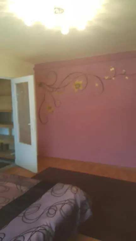 Raema Cetate Apartament