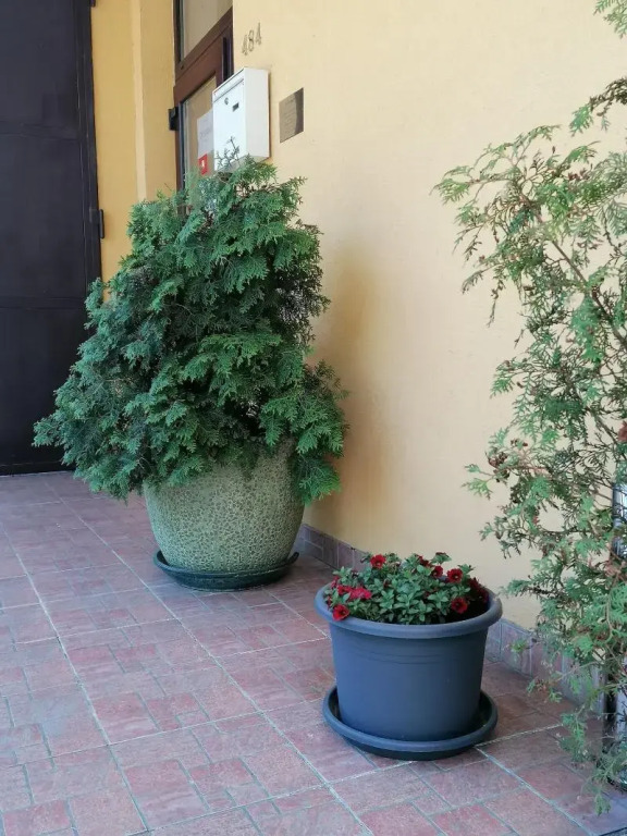 Hotel Arko